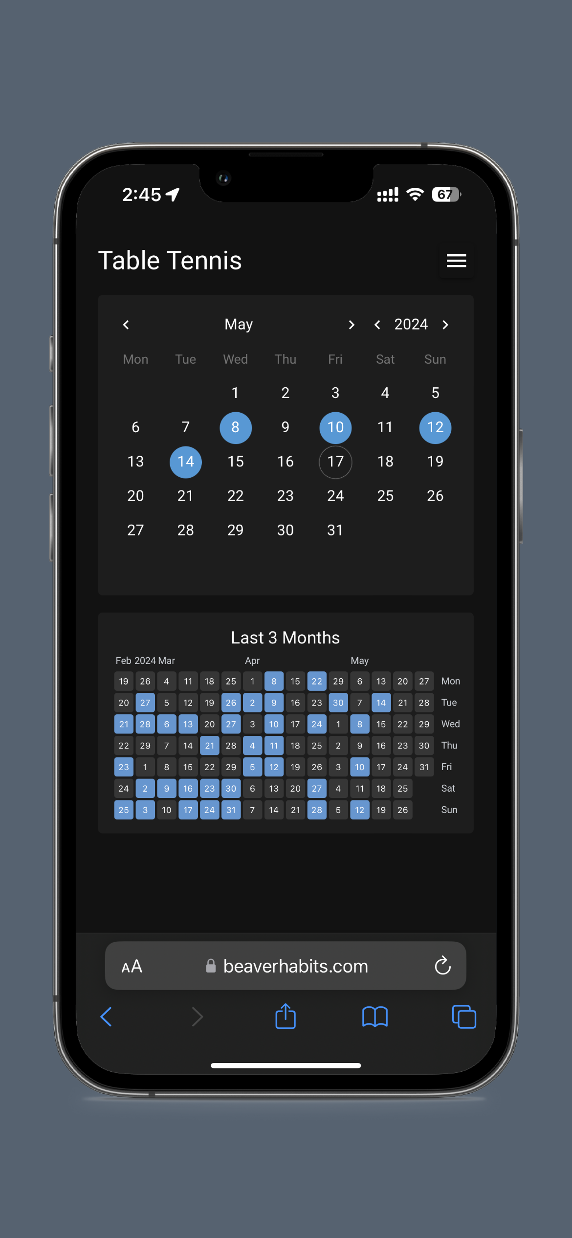 Habit calendar view with streak visualization